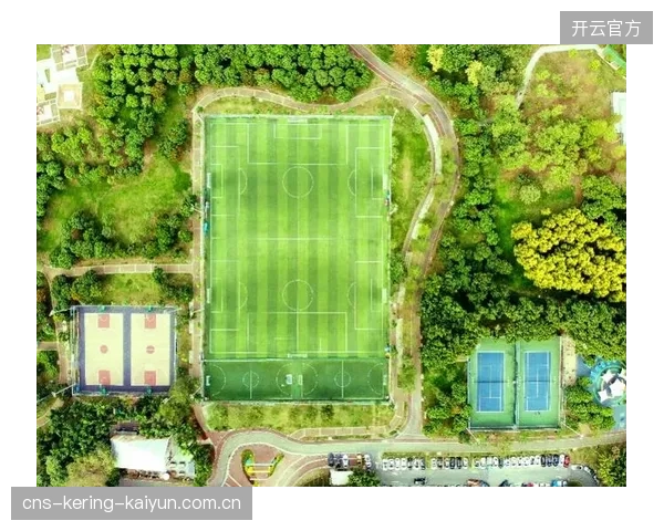 球星呼吁联赛商业化改革：从体育生态到未来蓝图